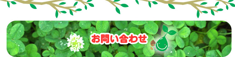 お問い合わせ