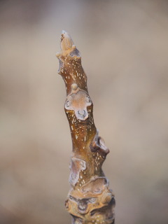 240218IjO~~聕tόu009.JPG