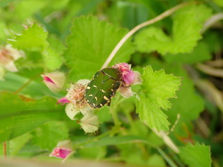 240512RAIniOiVC`Sόu063.JPG