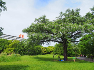 240512u001.JPG