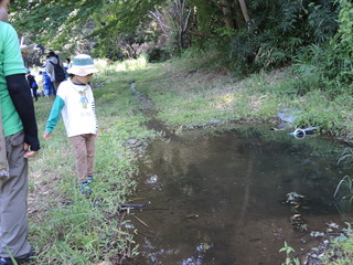 DSCN0316.JPG