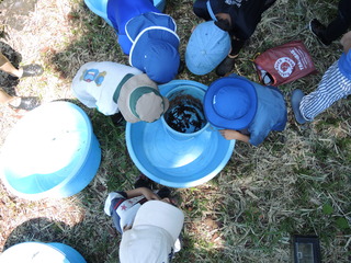 DSCN0385.JPG