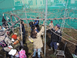 DSCN0414.JPG