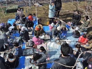 DSCN0528.JPG