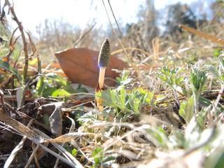 DSCN0923.jpg