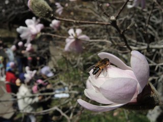 DSCN1022.jpg