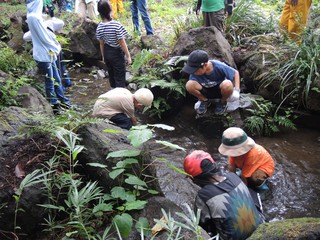 DSCN1165.jpg