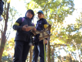 DSCN5355p@c}WG_VN.JPG