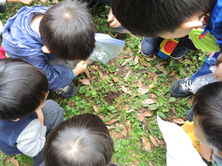DSCN9713.JPG