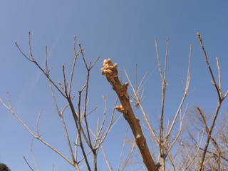 DSCN9839.JPG