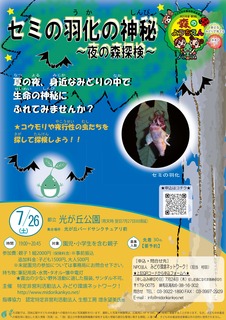 セミ羽化2025(第三回森のようちえん).jpg