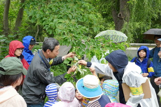P1000345.JPG