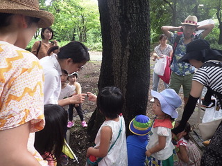 RIMG0127.JPG